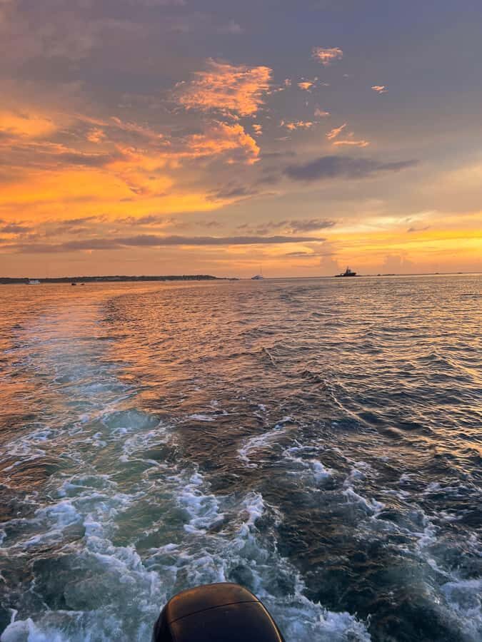 The best sunset tour in the bay: Open bar party & fun - Price and what you actually get for $39