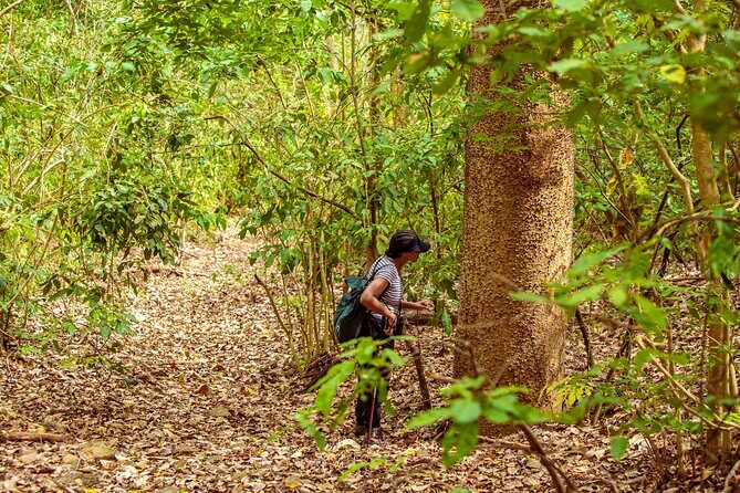 The Howling Trail Hike - Leaving the City for Bolívar’s Tropical Dry Forest