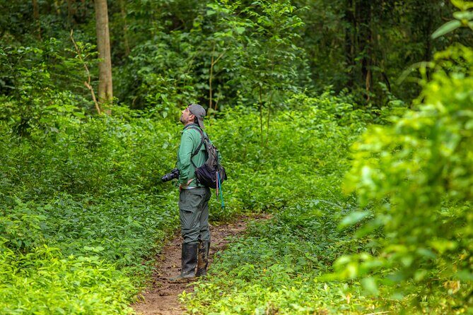 The Howling Trail Hike - What You’ll Actually Do: Breakfast, a Forest Walk, Lunch, Return