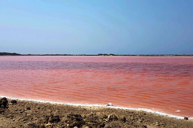 Totumo Volcano and Mar Rosa Tour in Cartagena with Lunch - The Tip Factor at Totumo: How to protect your comfort