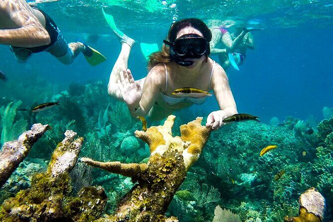 Tour of the Rosario Islands, Cartagena - 8 Hours Across The Rosario: The Real Shape of the Day