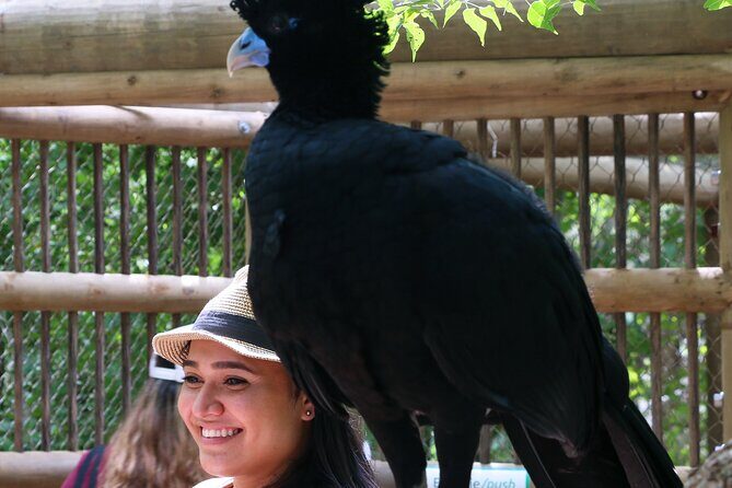 Transportation to the National AVIARY of Colombia - Price and Logistics: What You’re Really Paying For