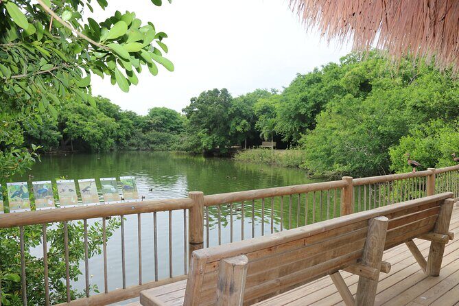 Transportation to the National AVIARY of Colombia - Who This Tour Is Best For