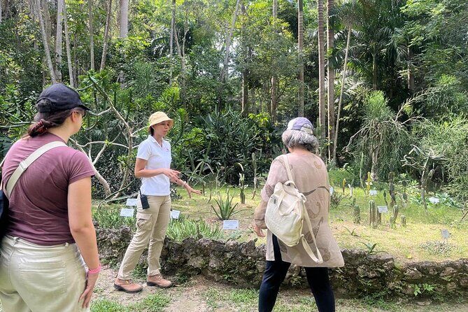 Turkish : Botanical Garden, Natural and Cultural Treasure with Lunch - A Matron’s Lunch in a Turbaco House: The Most Human Part