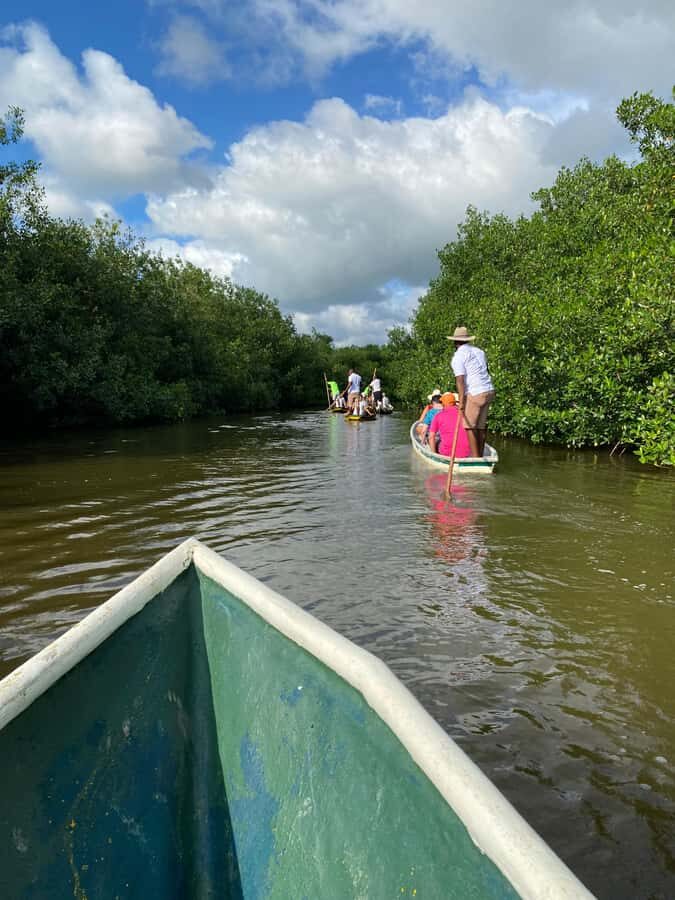 Typical lunch on beach, mangrove tour & fishing with natives - Key highlights at a glance