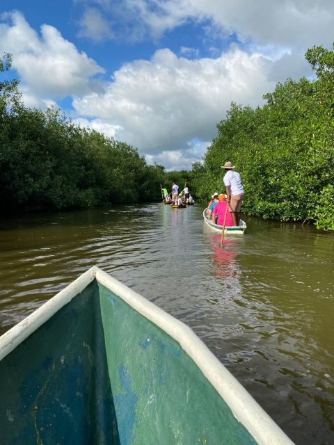 Typical lunch on beach, mangrove tour & fishing with natives - Fisherman Island: where mangrove life becomes real