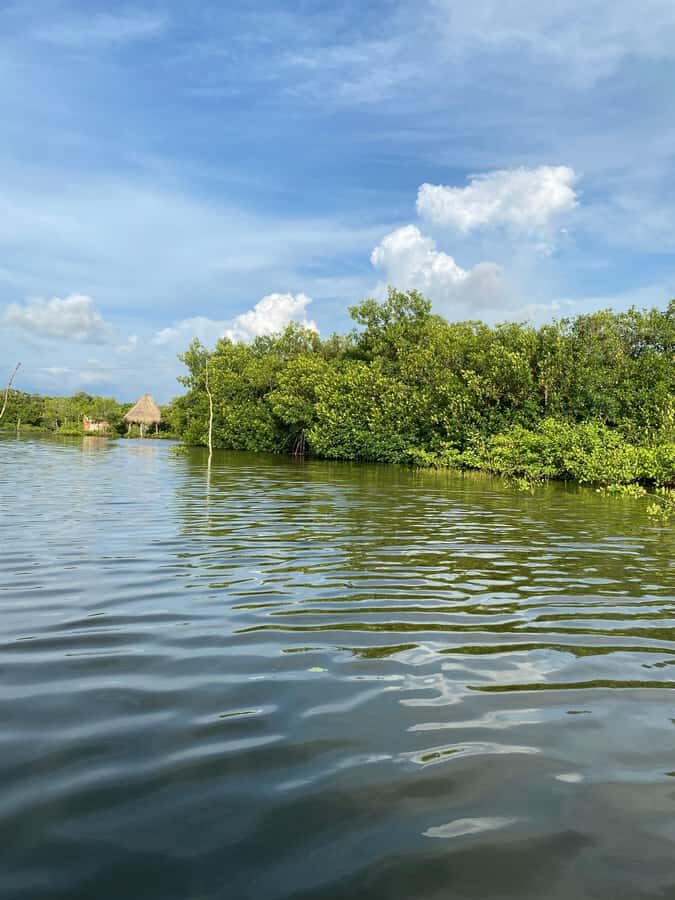 Typical lunch on beach, mangrove tour & fishing with natives - The beach reset after lunch: keep it simple