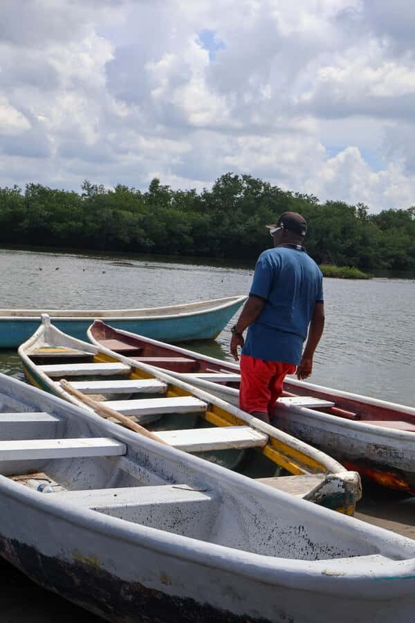 Typical lunch on beach, mangrove tour & fishing with natives - Price and value: does $84 make sense for this day?
