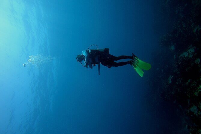 Under a sea of adventures, unforgettable diving. - Key things to know before you go