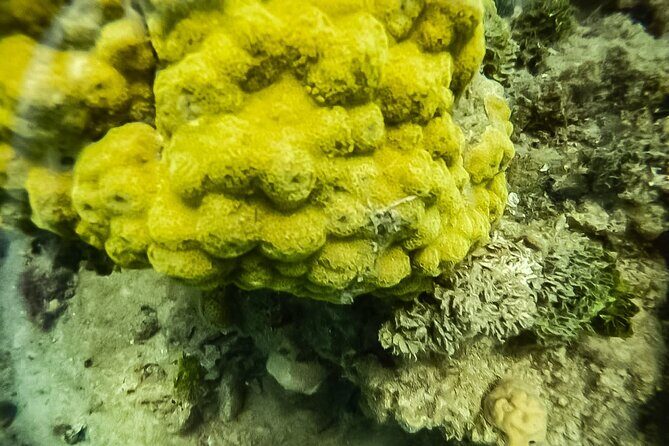 Under a sea of adventures, unforgettable diving. - The Boat Ride to the Island: Part of the Real Experience