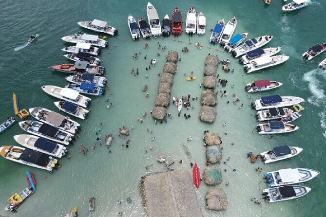 Visit Cholon & Baru with lunch - Cartagena Pickup to Barú: Watching the Coast Change